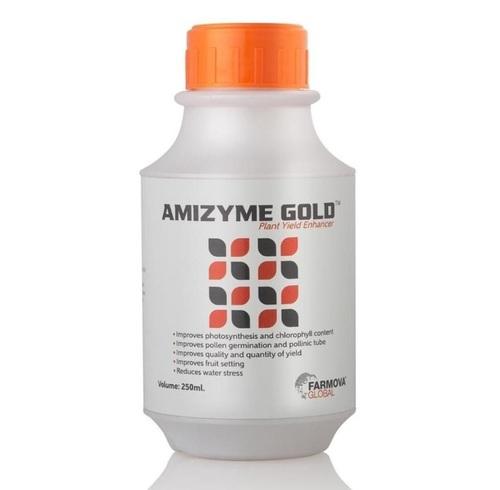 AMIZYME GOLD