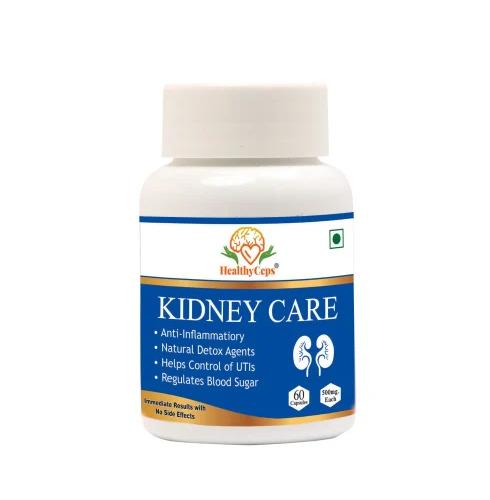 Ayurvedic Kidney Medicine