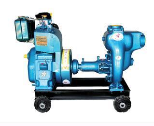 Sewage Pumps