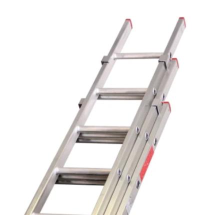 Domestic Ladder