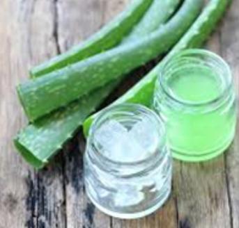 Natural Aloe Vera Pulp