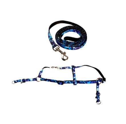 Nylon Printed Bodybelt Set