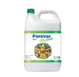 Forever Absolute (Drip)