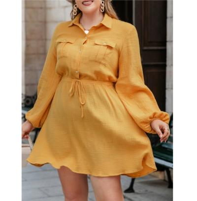 Casual Lace up Dress