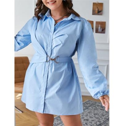 Self Belted Striped Shirt Dress