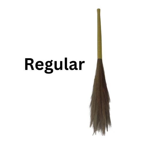 Regular 