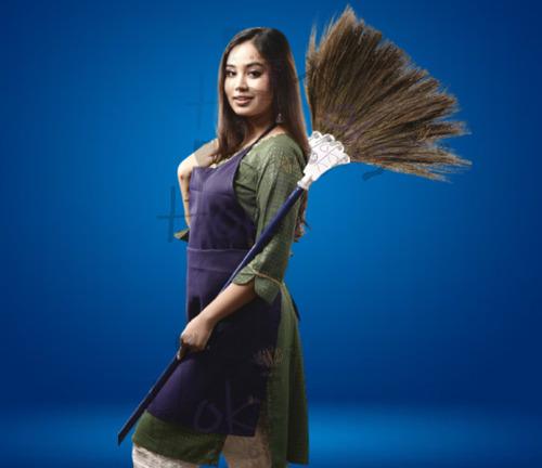 Cleaning Brooms