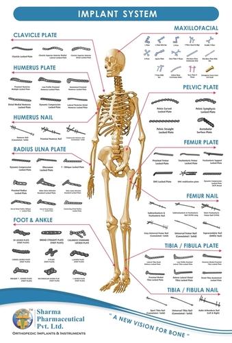 Bone Plate ,Bone Screw 
