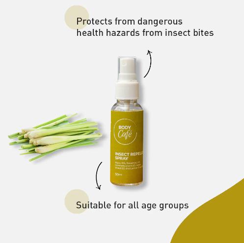 Insect - Repellent Spray