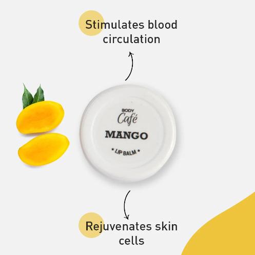 Mango Lip Balm