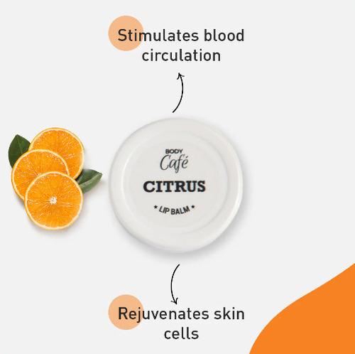 Citrus Lip Balm
