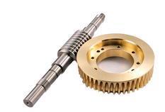 Worm Gears