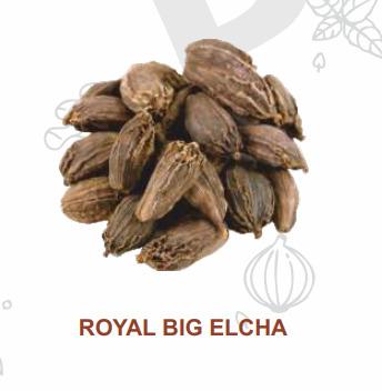 Royal Big Elaicha