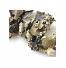 BLACK STONE FLOWER-KALPASI