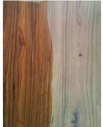 Santosh Plywood