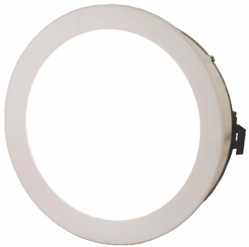 White Dl