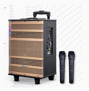Trolley Speaker HX-110