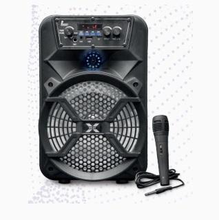 Party Speaker T 801