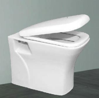 Floor Mounted Water Closet