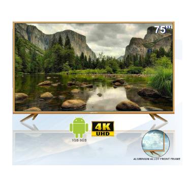 LED TELEVISIONS (WT - 7518SM / 18)