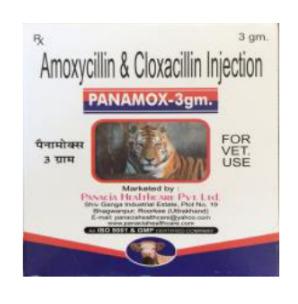 PANAMOX 3 GM