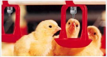 Floor-Watering System