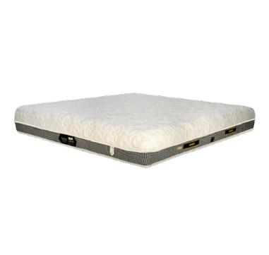 Ortho Resilia Anti Static Mattress  
