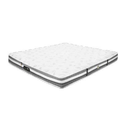 Ortho Memory Zero Gravity Mattress