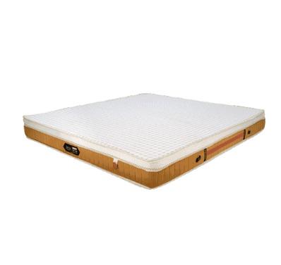 Ortho Accuzone Accupressure Mattress