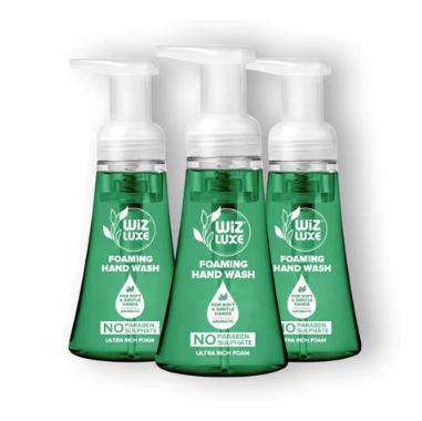 Fresh Mint Foaming Handwash