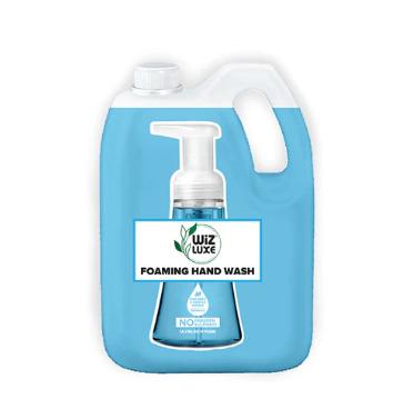 Blueberry Foaming Handwash