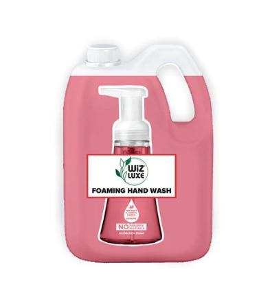 Strawberry Pulp Foaming Handwash