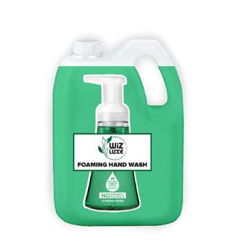 Fresh Mint Foaming Handwash