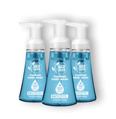 Blue Berries Foaming Handwash