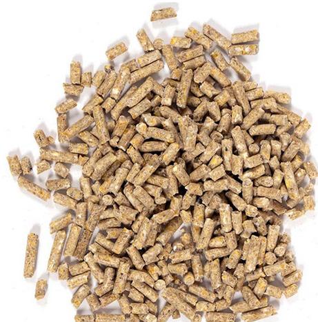  Feed Animal Cattle Feed 