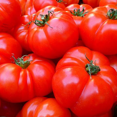 Fresh Tomato