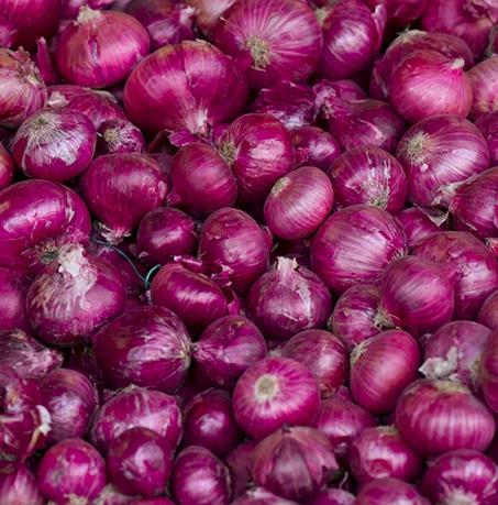 Fresh Red Onion