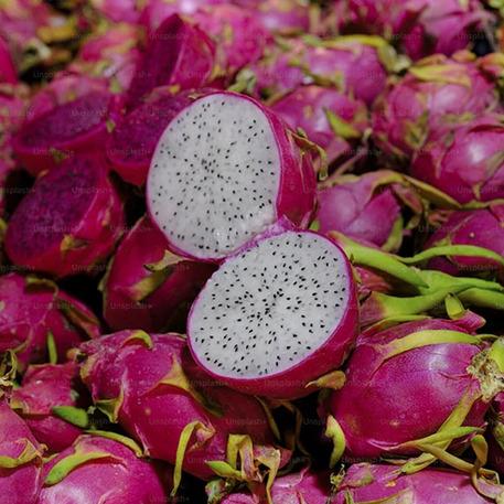 Fresh Dragon Fruit 