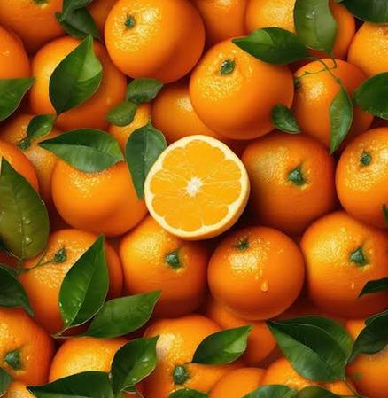 Fresh Orange