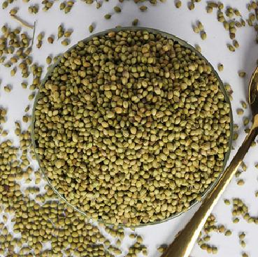 Coriander Seeds 