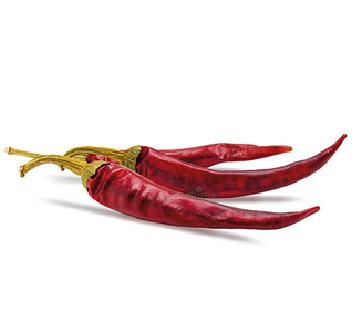 Dry Red Chilli 
