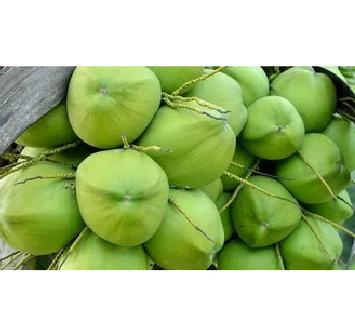 Tender Coconut 