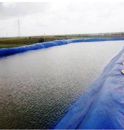 Pond Lining Film 
