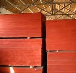 Shuttering Plywood