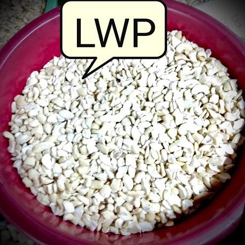 Cashew LWP