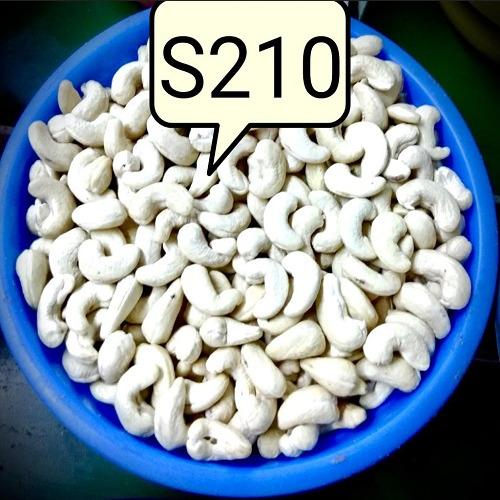 Cashew s210