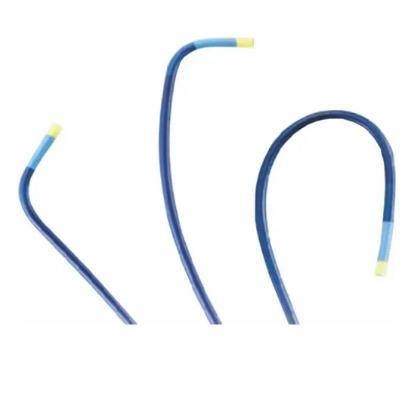 Alitus Guiding Catheter
