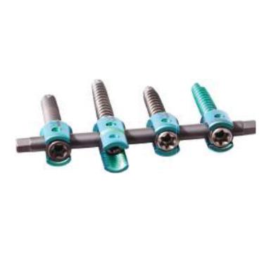 PREMIUM PEDICLE SCREW SYSTEM