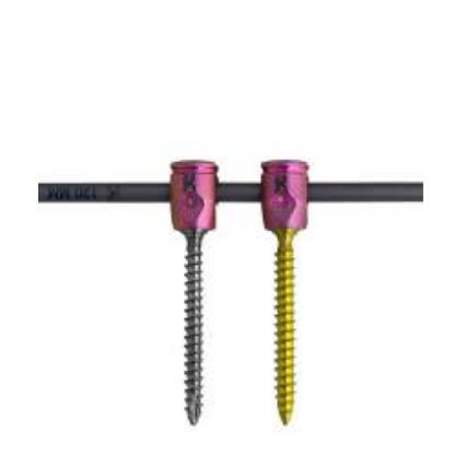 Kentro PCF POSTERIOR CERVICAL FIXATION SYSTEM