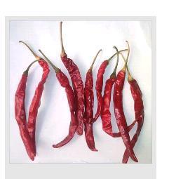 Dried Chillies